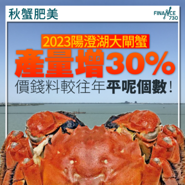 大閘蟹-2023-季節-月份-來源-香港-價錢-走私-二噁英-食安
