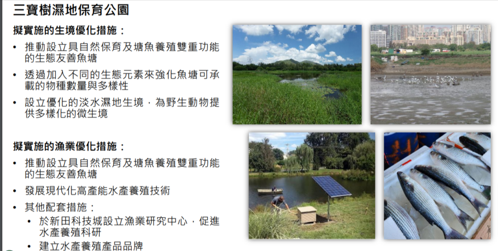 北部都會區|城規會同意建立三寶樹濕地公園 - Finance730