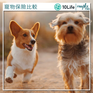 香港-寵物-保險-比較-2024-10life-01