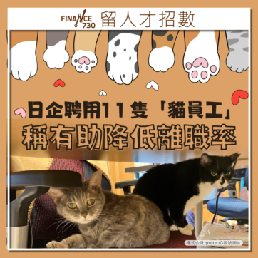 寵物友善-辦公室-貓-日本-Pet-friendly-Workplace