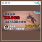 附全方位防蚊指南|廣東爆基孔肯雅熱 袁國勇:港人一般無抗體